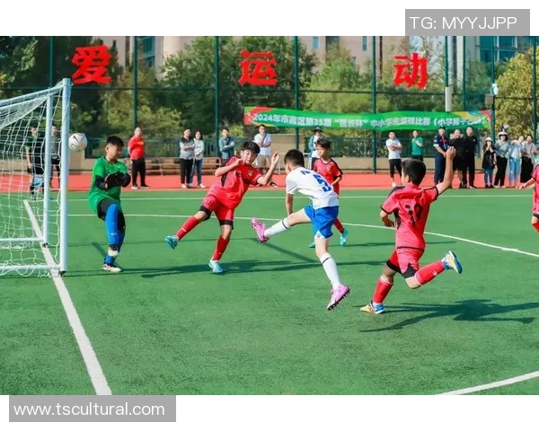 喝喜力的足球明星们如何在赛场上展现激情与风采 喝喜力的足球明星们如何在赛场上展现激情与风采