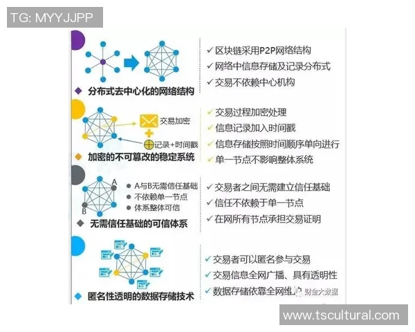武汉羽毛球队在钻石联赛中的技术表现分析与未来展望