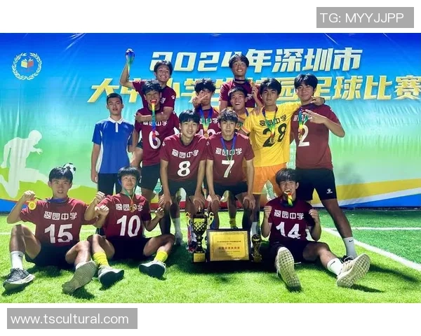 深圳足球队实力强劲荣登全国足球实力排行榜第九名