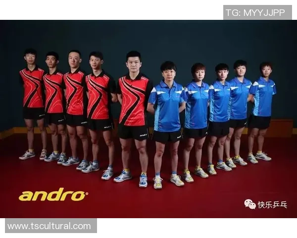 上海乒乓球队与杭州乒乓球队赛后复盘分析比赛经验与战术调整