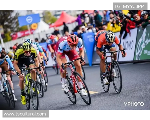 杭州排球队耐力分析与训练策略探讨助力竞技水平提升 杭州排球队耐力分析与训练策略探讨助力竞技水平提升