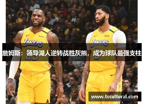 詹姆斯：领导湖人逆转战胜灰熊，成为球队最强支柱