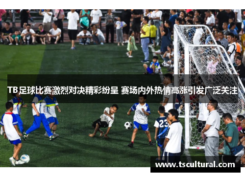 TB足球比赛激烈对决精彩纷呈 赛场内外热情高涨引发广泛关注
